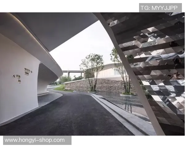 重庆排球队在洲际杯中的蜕变与未来发展之路探秘